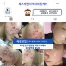 클레오파트라왁싱&뷰티