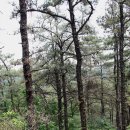 샘말농장 | 삼성산 산행 후기