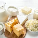 치즈 종류별로 영양도 다르다? 건강에 좋은 치즈 5가지 이미지