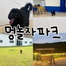 경충대로 3 | 멍놀자파크 종일 패키지 내돈내산 솔직후기