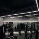 웰니스핏 이미지