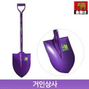 금상 이미지