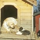 신야춘추 이미지