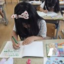 악필교정바른글쓰기 이미지