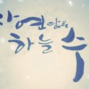 자연담은 하늘수 이미지