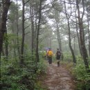 녹차밭약수터 이미지