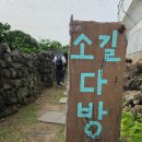제주 애월 카페 추천 : 소길다방 주차 정보, 메뉴, 핸드드립 후기
