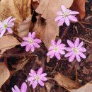 해낸다 스터디카페 이미지