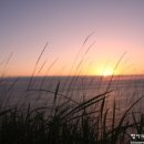 카사펜션민박 이미지