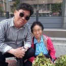 후평시장 이미지