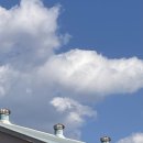 순천-14호 이미지