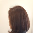 옐로우씨 이미지