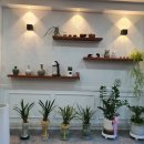 탄탄대로공인중개사사무소 이미지