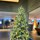 명품앤웰빙 | 반얀트리 클럽 앤 스파 후기 | 딤딤섬 명동점 후기 (위치, 정보) | 딤섬 추천