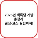 2025 백록담 개방 후기 – 성판악 코스로 직접 등반한 리얼 체험기 &amp; 꿀팁 정리