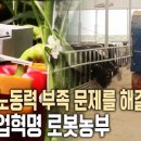 농부가팜
