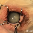 24시 대전동물의료센터 이미지