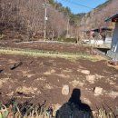 자명농장 이미지