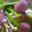 신안갯벌세발낙지 이미지