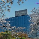 용산-현장-747 | [서울 호텔] 그랜드 하얏트 서울 그랜드 하얏트 서울의 매력