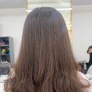 프로헤어스칼렛