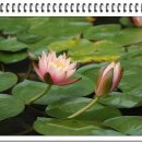 부춘가든 이미지