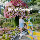 월계유원아파트경로당 | 노원 초안산수국동산 화장실 유모차 수국 반려견 가능