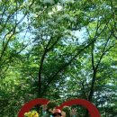 송죽 - 밀양시 | 송죽