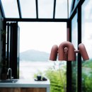 고사리맨션 이미지