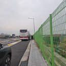 칠갑산 | 2025.11.8 칠갑산 산행 후기: 가을의 아름다움을 만끽하다 🍂