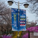 대룡산주차장(간이화장실) | 부천 원미산 진달래축제 전날 혼자 방문해보기(feat.버스, 지하철, 주차장, 화장실, 푸드트럭 등)