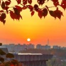 서울이수초등학교 이미지