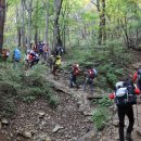 (주)지종 이미지