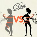 가야선식 네이버블로그