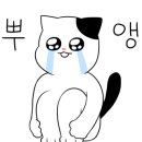 연빗