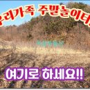 내흥리농장 네이버블로그