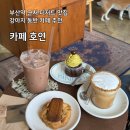부산초량동물약국 | 부산역 카페 호연 초량 강아지 동반 디저트 맛집