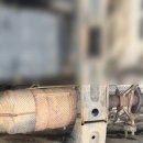 TM모터스 이미지