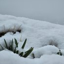 들녁의 하얀집 이미지