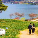 채운목장 이미지