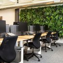 다모행정사 합동사무소 이미지