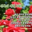 유월엔 이미지