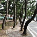 송정해변길 이미지