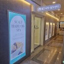 하나케어센터 | 천안탈모 두피케어 센터 웰킨 관리후기