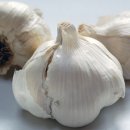 뽑아가으리 이미지