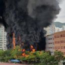 서울은명초등학교 이미지