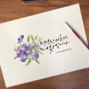 캘리그라피&꽃그림 이미지