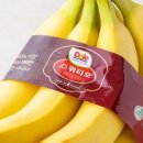 독천낙지명가 이미지