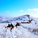 일지매 여행사 이미지