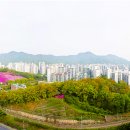 도장공원길 이미지